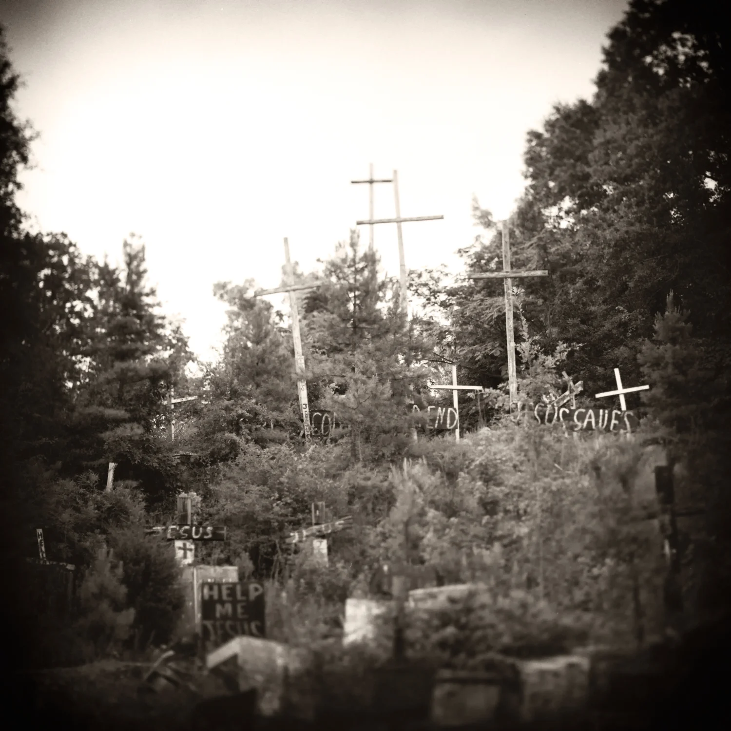Cross Garden