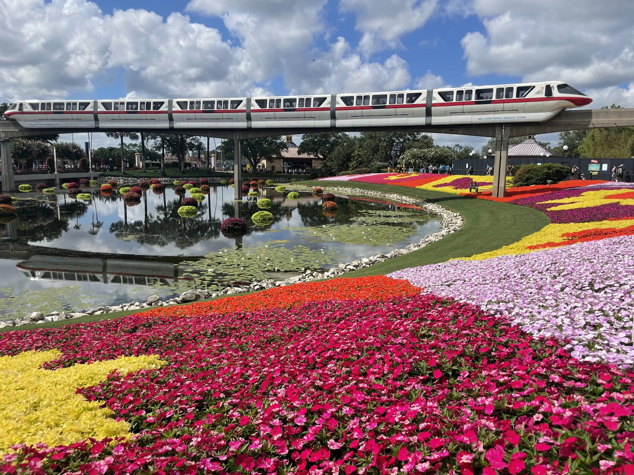 Dive Into Walt Disney World Summer 2026 Magic 