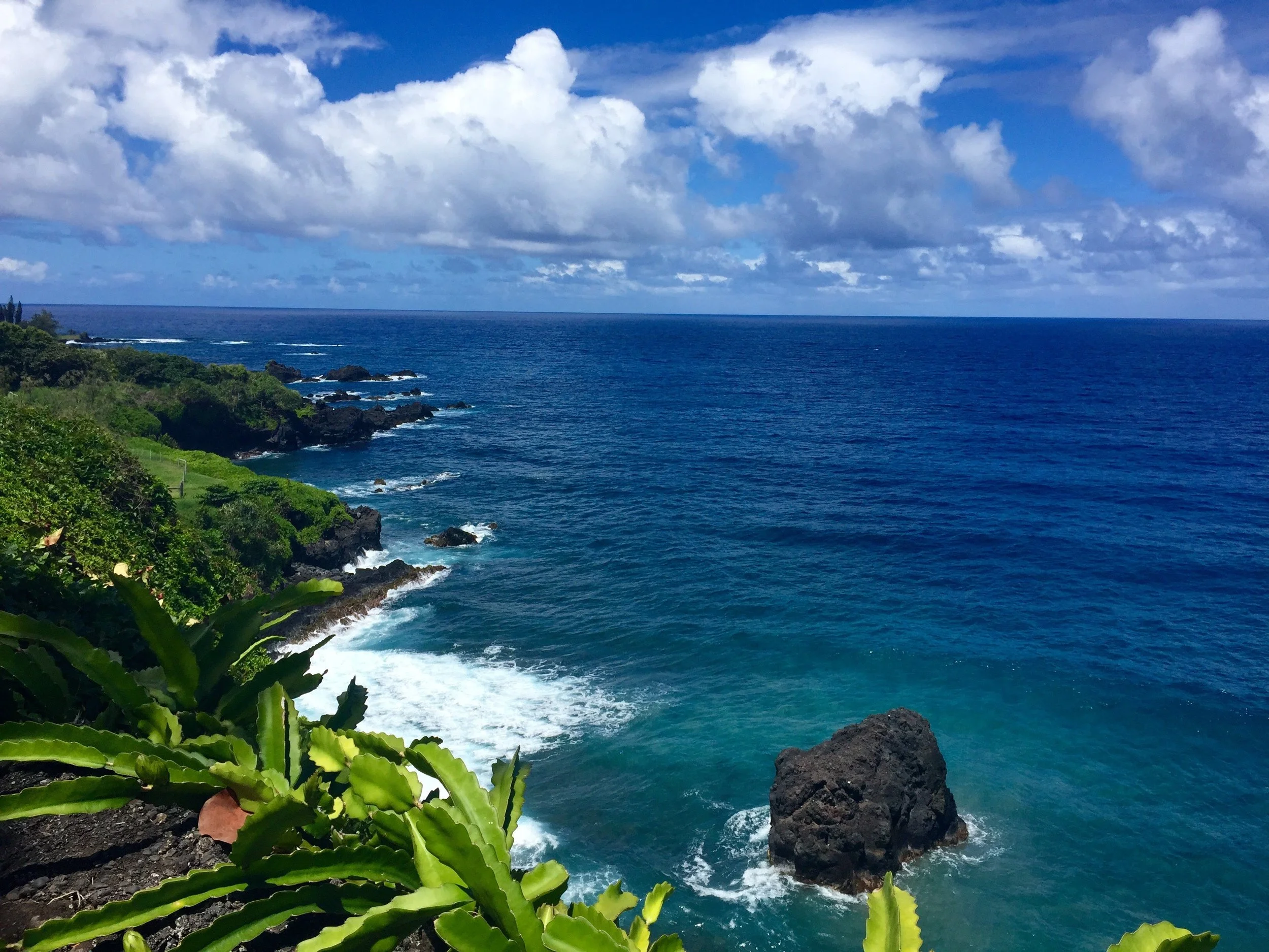 Say Aloha to Hawaii in 2025: A Tropical Dream for Every Type of Traveler