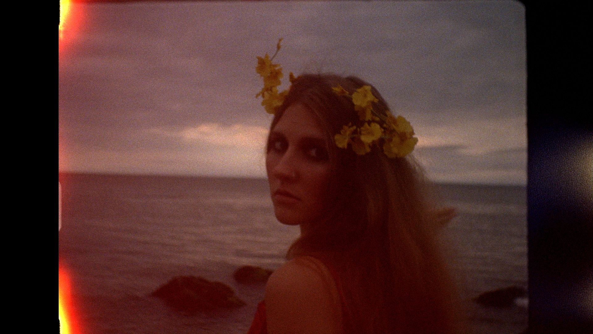 Samantha Pleet "Arcadia"