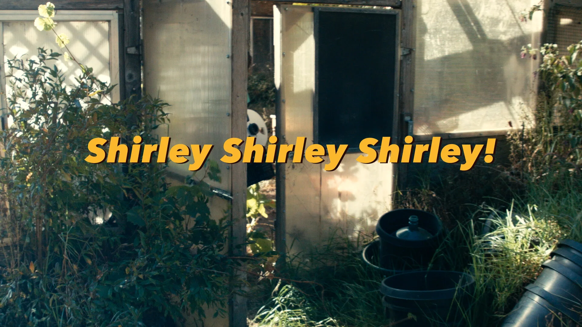 SHIRLEY FINAL.00_00_12_13.Still001.jpg