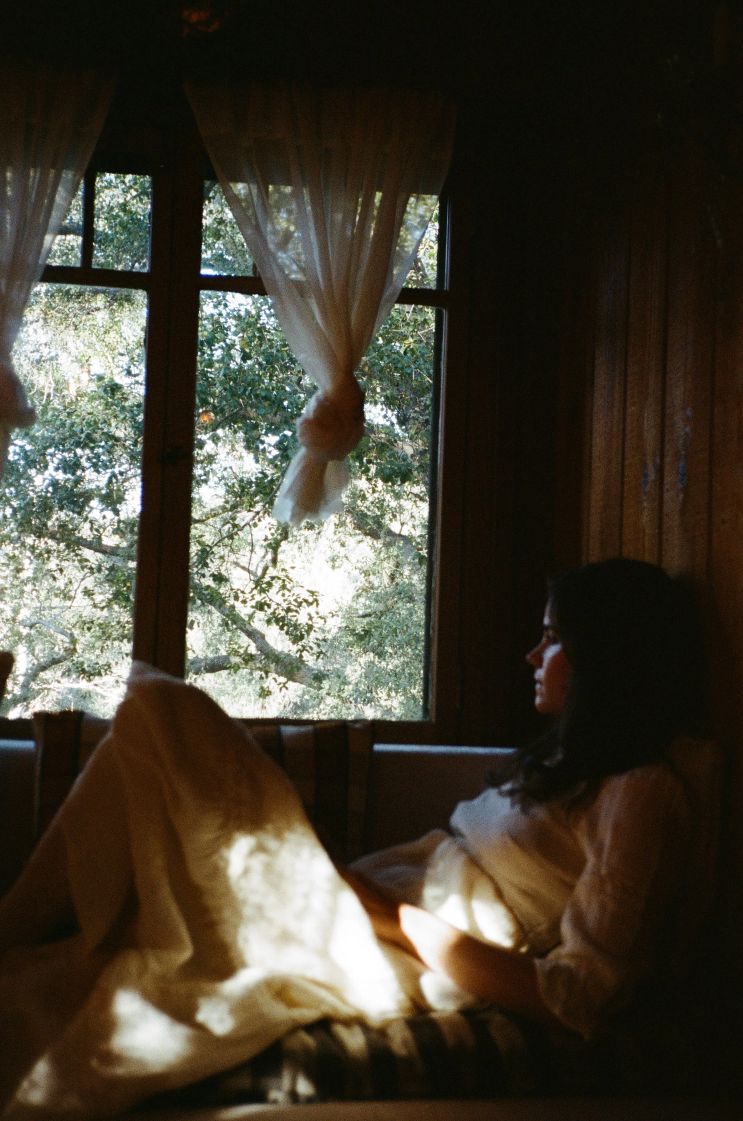Erin Durant cabin window