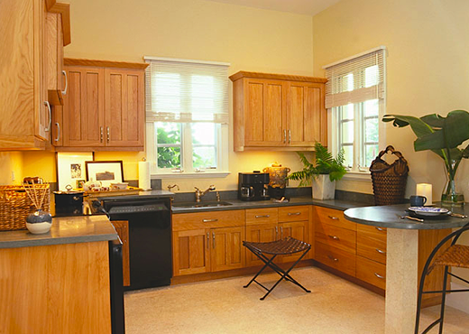 This is an example of a DAASE member who incorporated both aging in place + universal design and merged them with green sustainable design elements. The kitchen features multiple counter heights with quartz counters and woods from a certified sustainable forest.