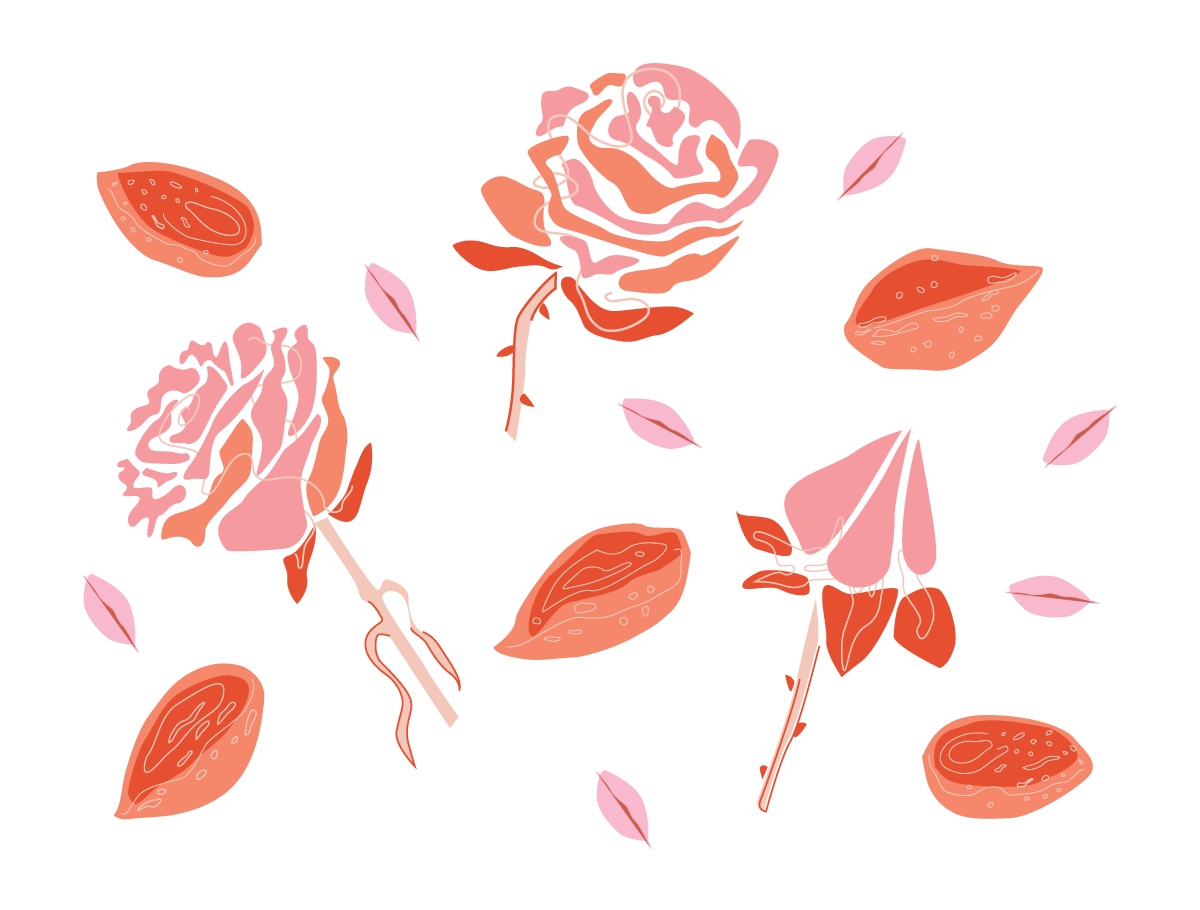 Belle-Pelle-Illos.png