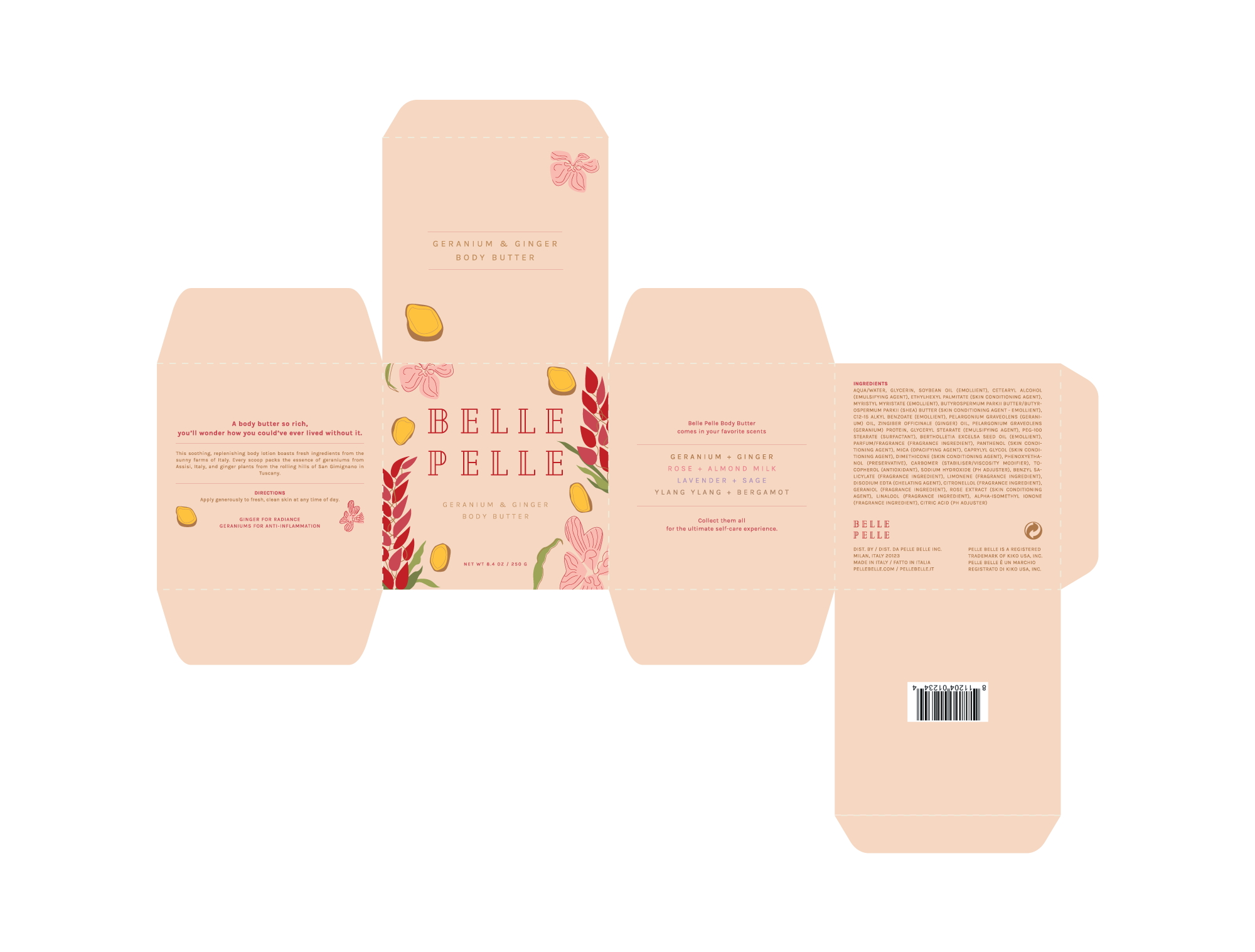 Ginger-Package-Fold-Out.png