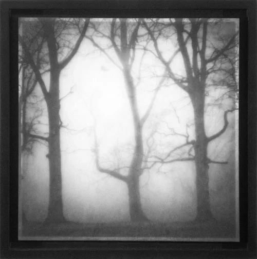 in the fog.jpg