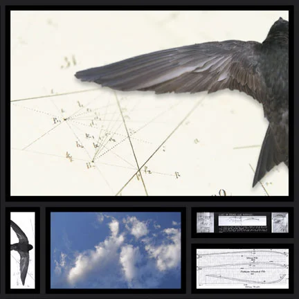 geometry-of-flight.jpg