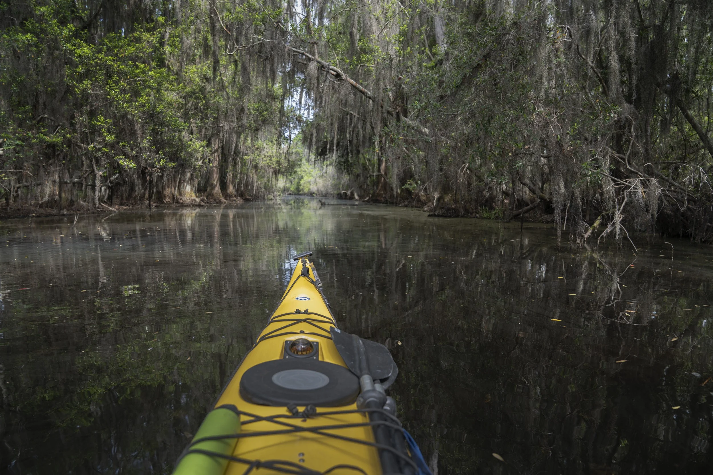 Grand Canal Paddle.jpg