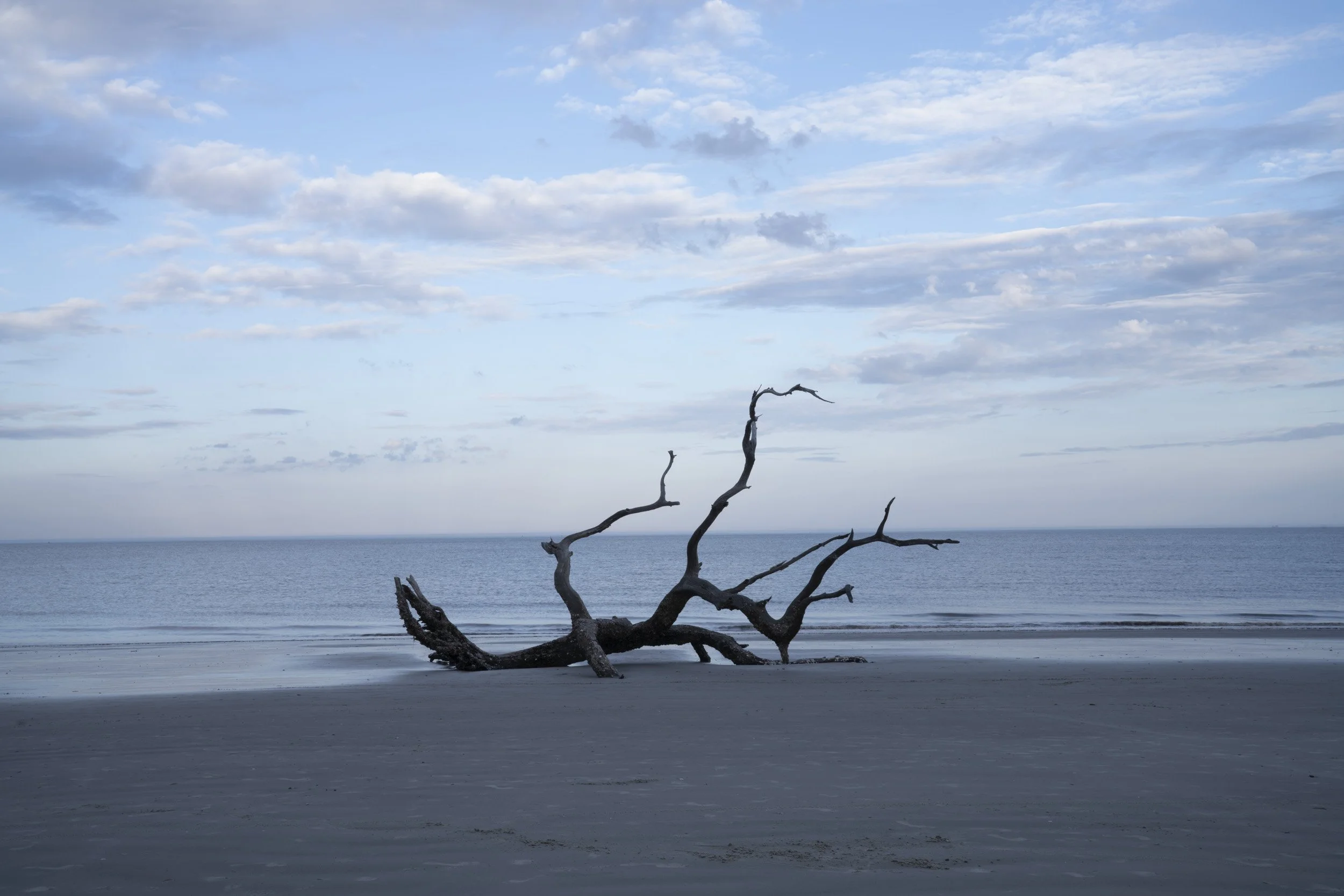Barrier Island Beach.jpg