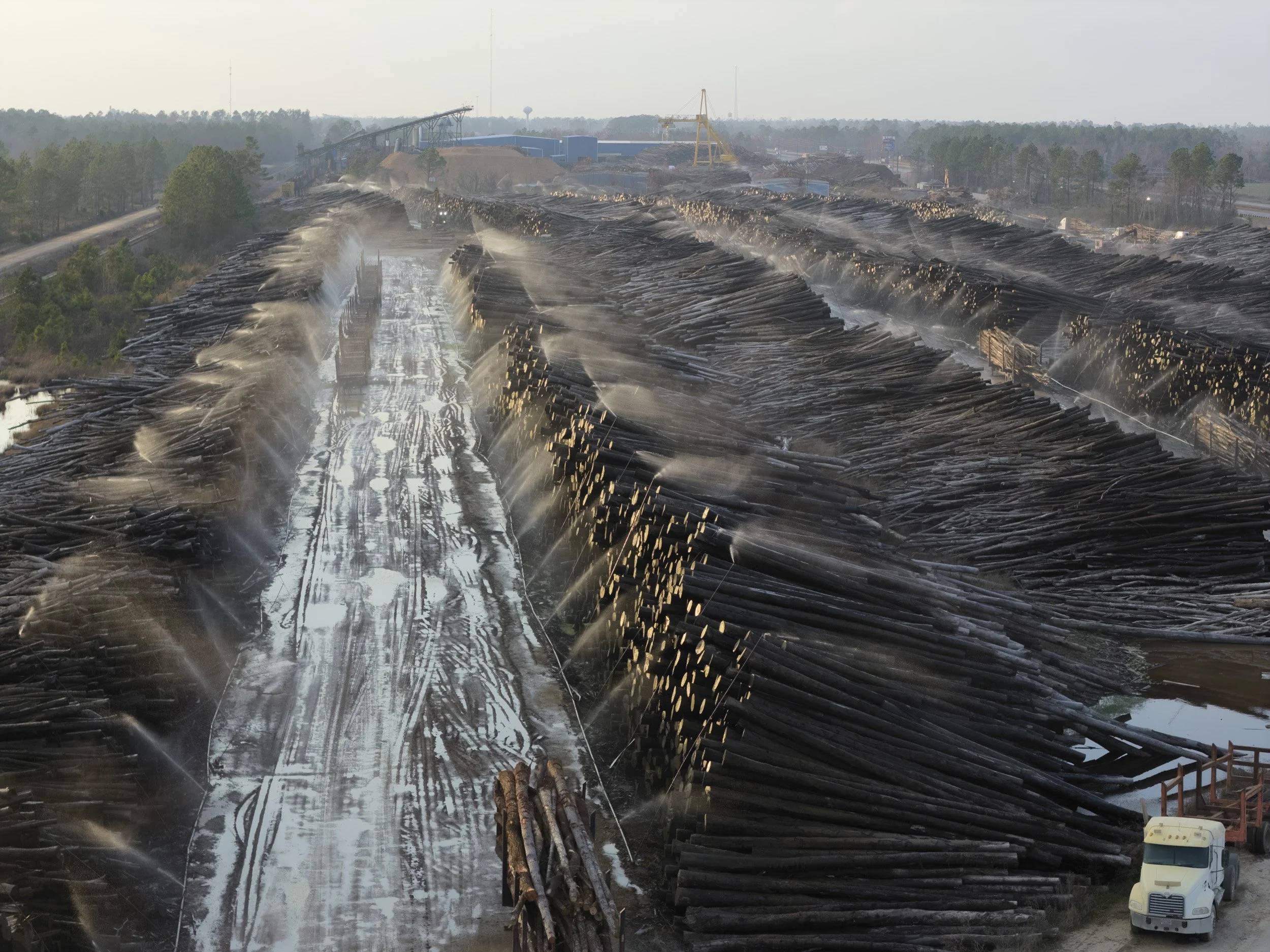 Log Yard.jpg