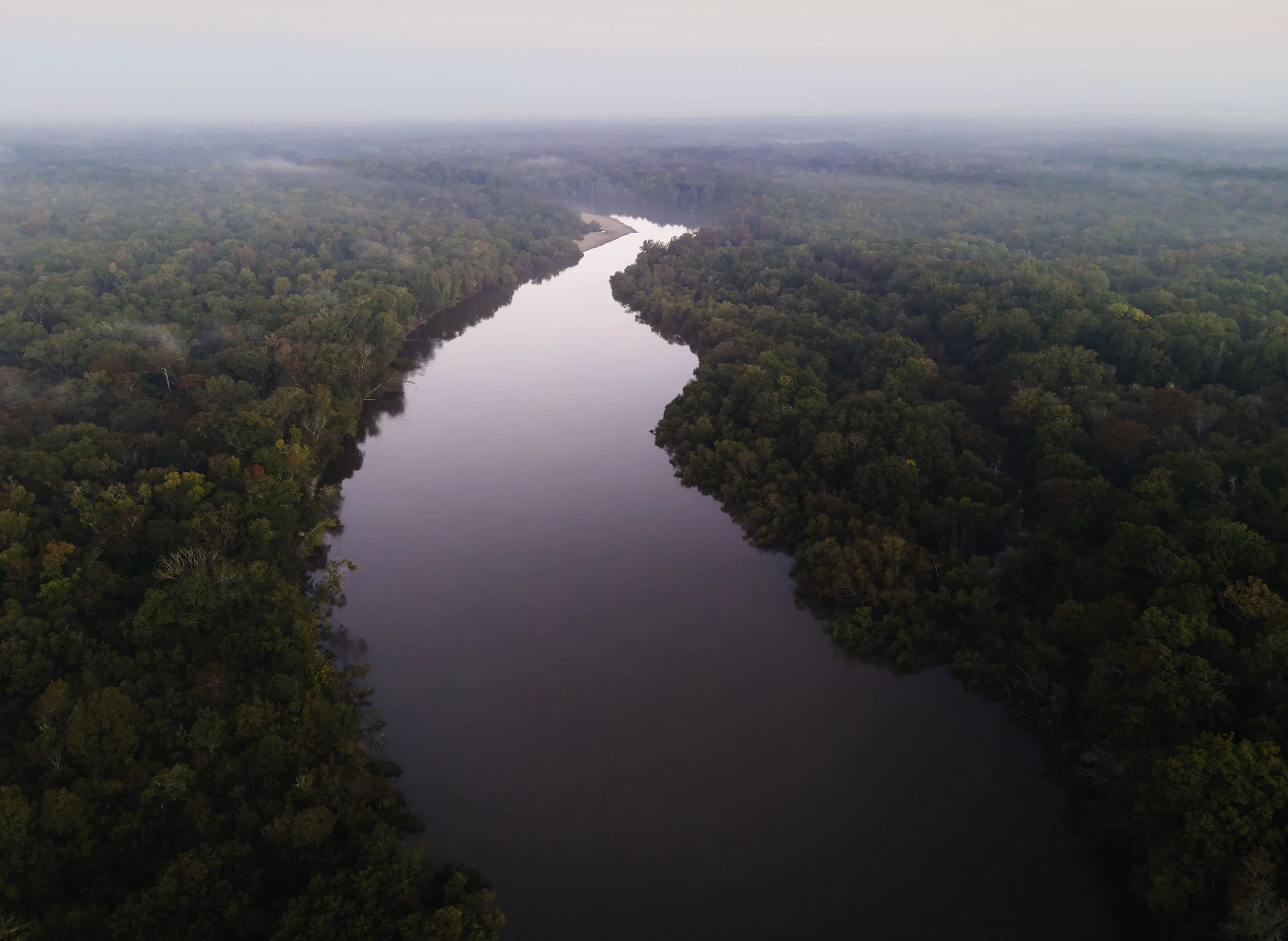 Altamaha web.jpg