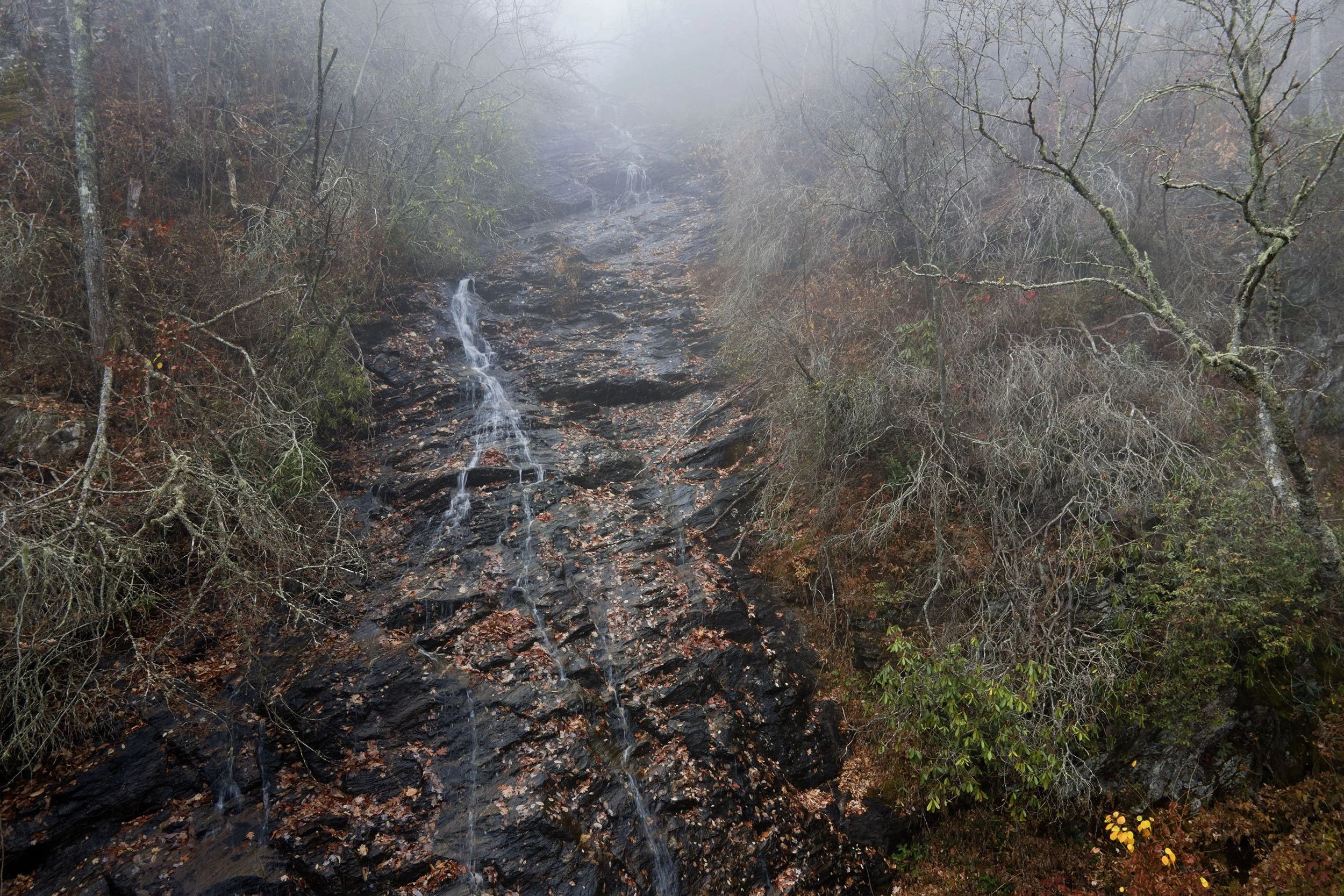 Headwaters web.jpg