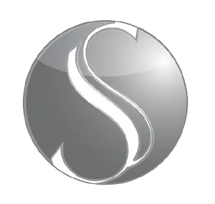 TheStrategyGroupCompany_MEDALLION ONLY.jpg