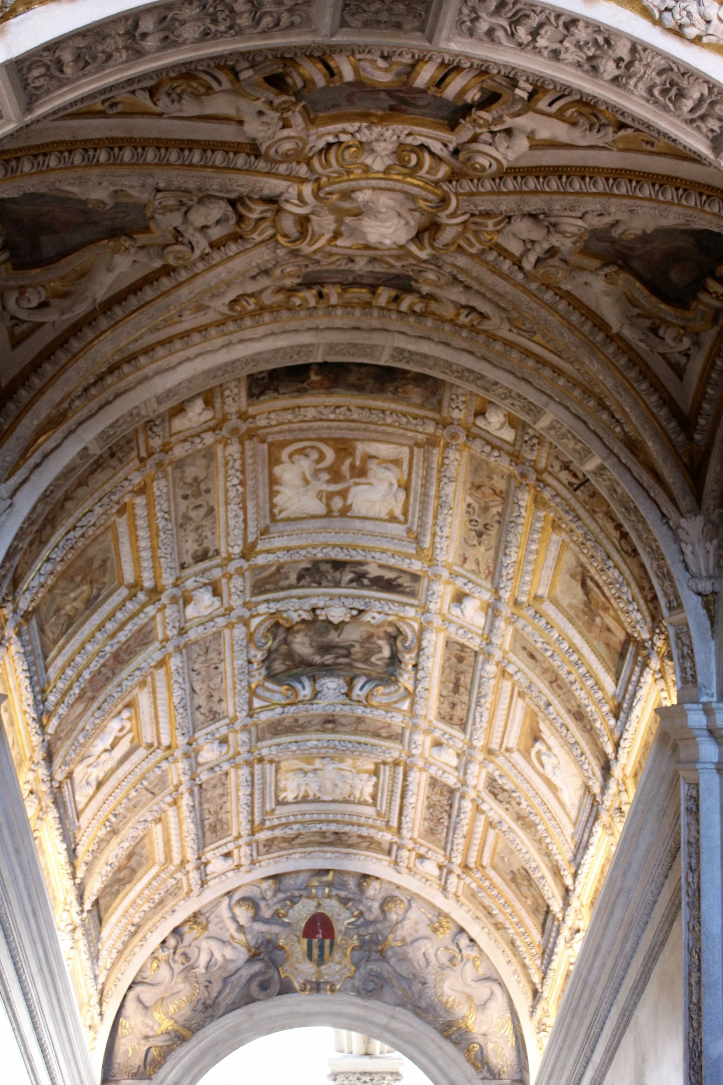 IMG_1980.jpg