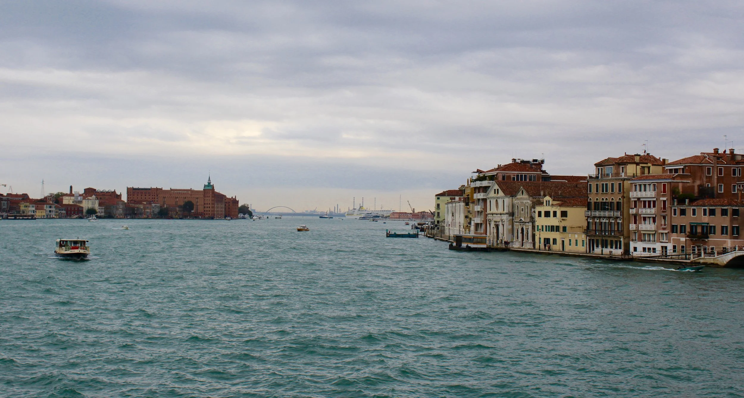 IMG_2142.jpg