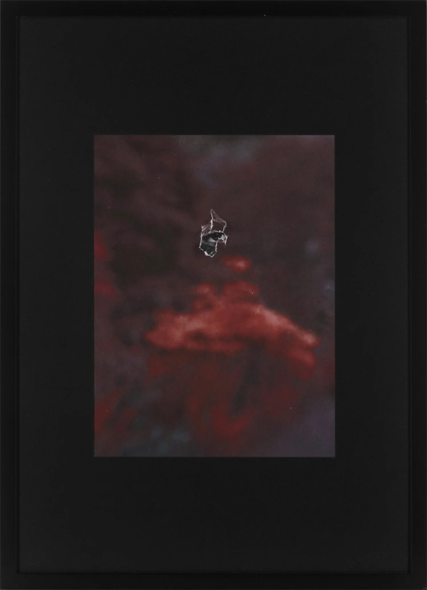 Ozge-Cone_Opia_Frame.jpg