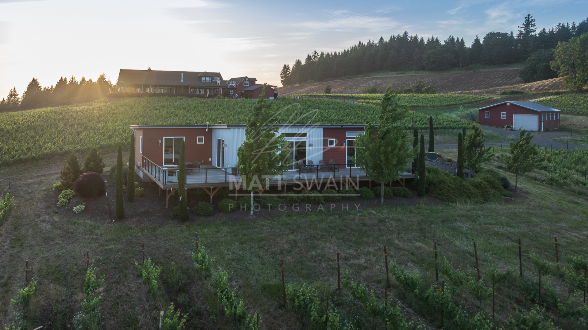 Vines and By Design