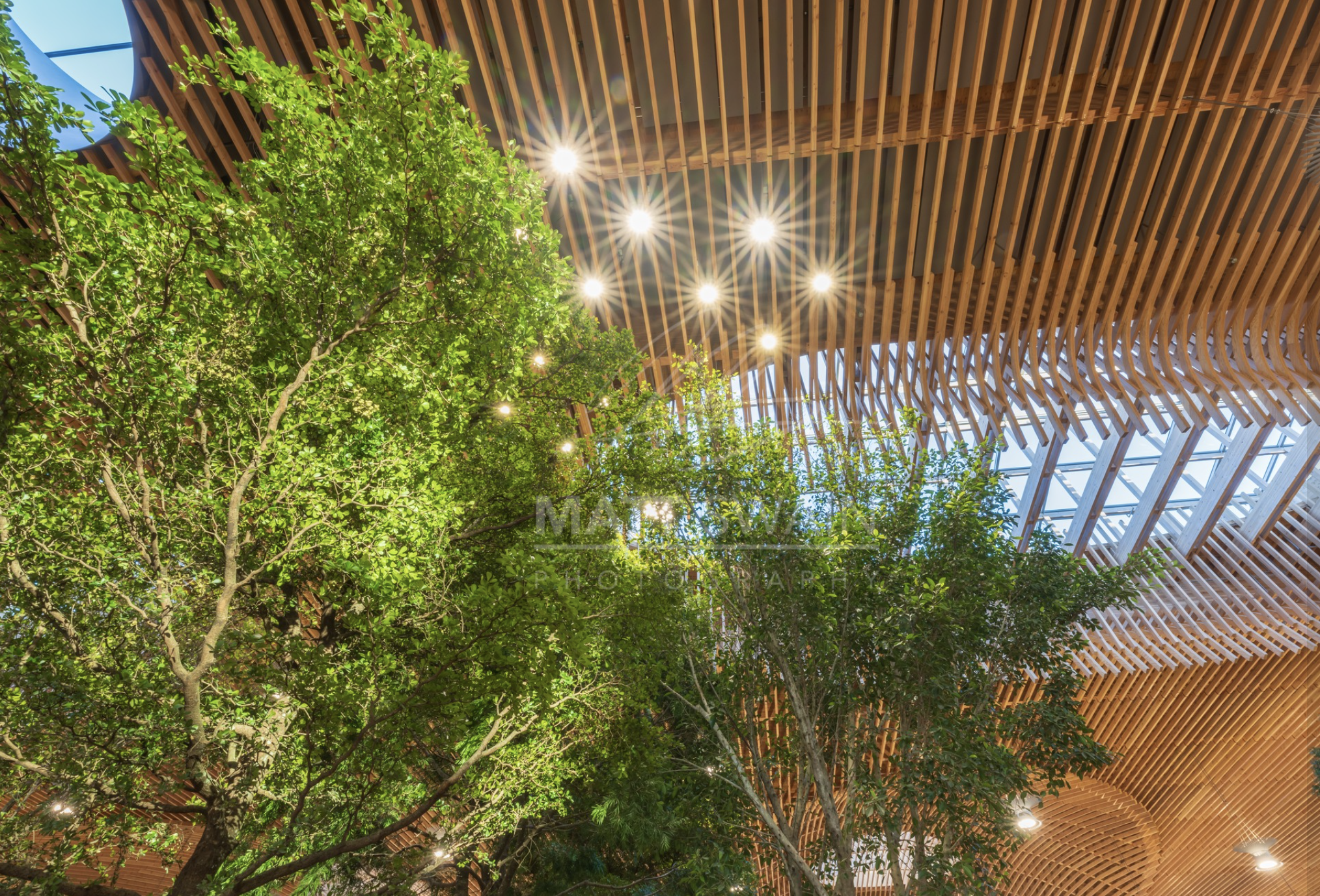 PDX_Airport_mattswainphotography_03