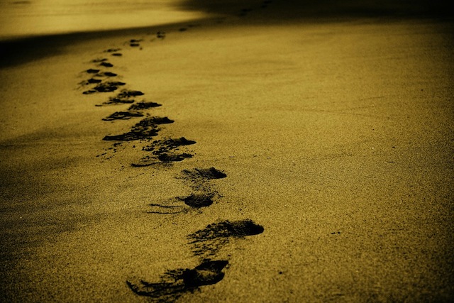 FootPrints.jpeg