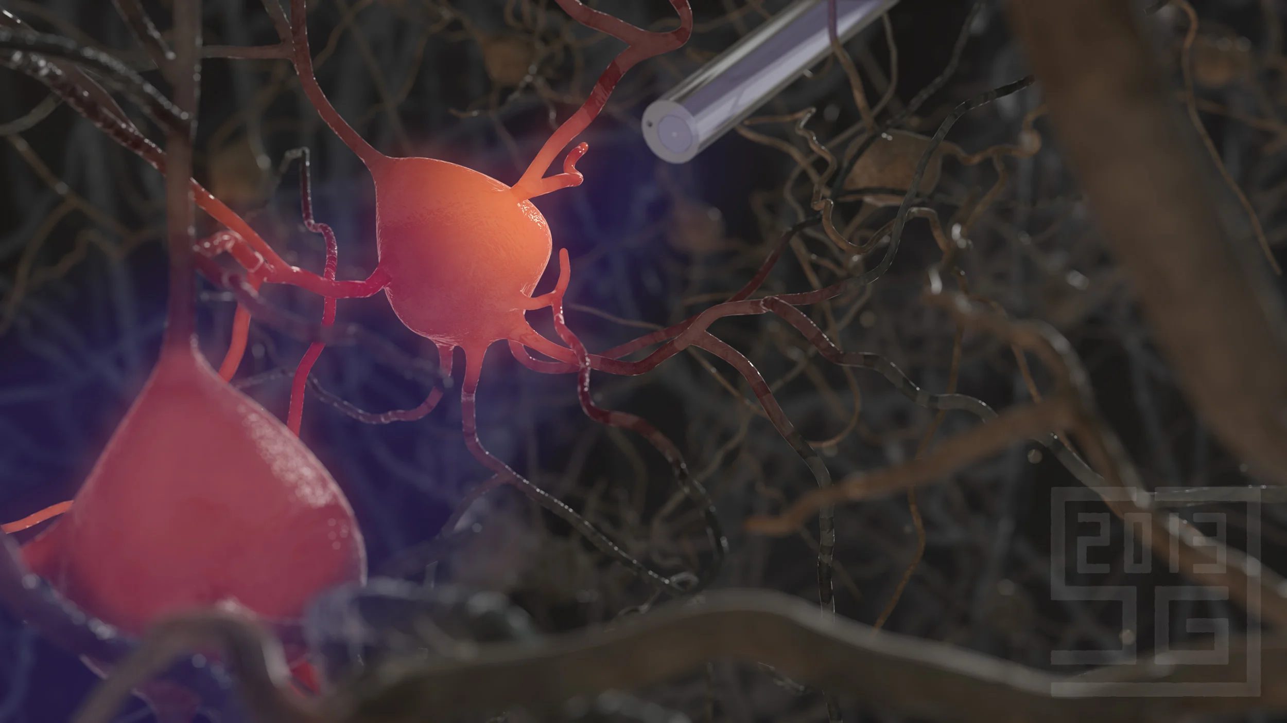 Jantzen_BCM_RIN_neuron_forest_2013.jpg