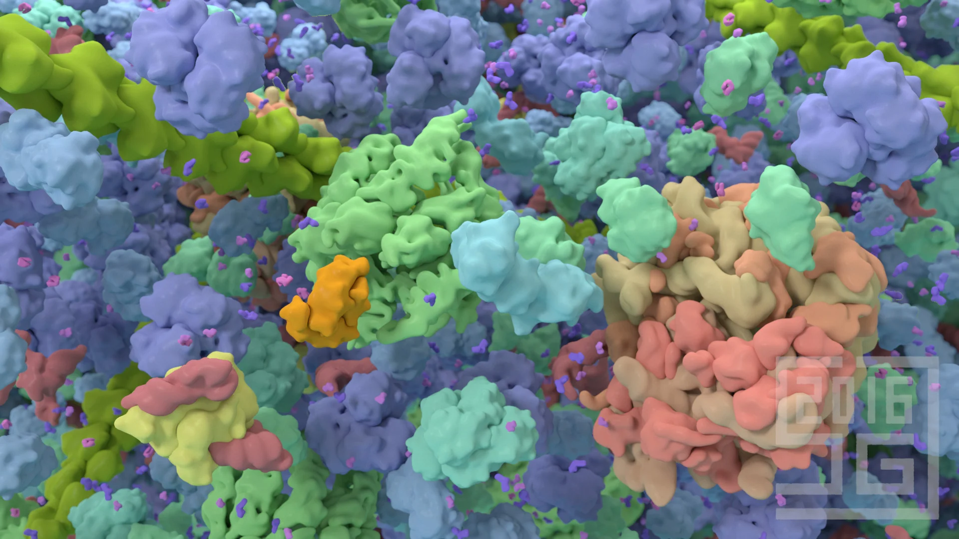 Molecular Visualization Principles