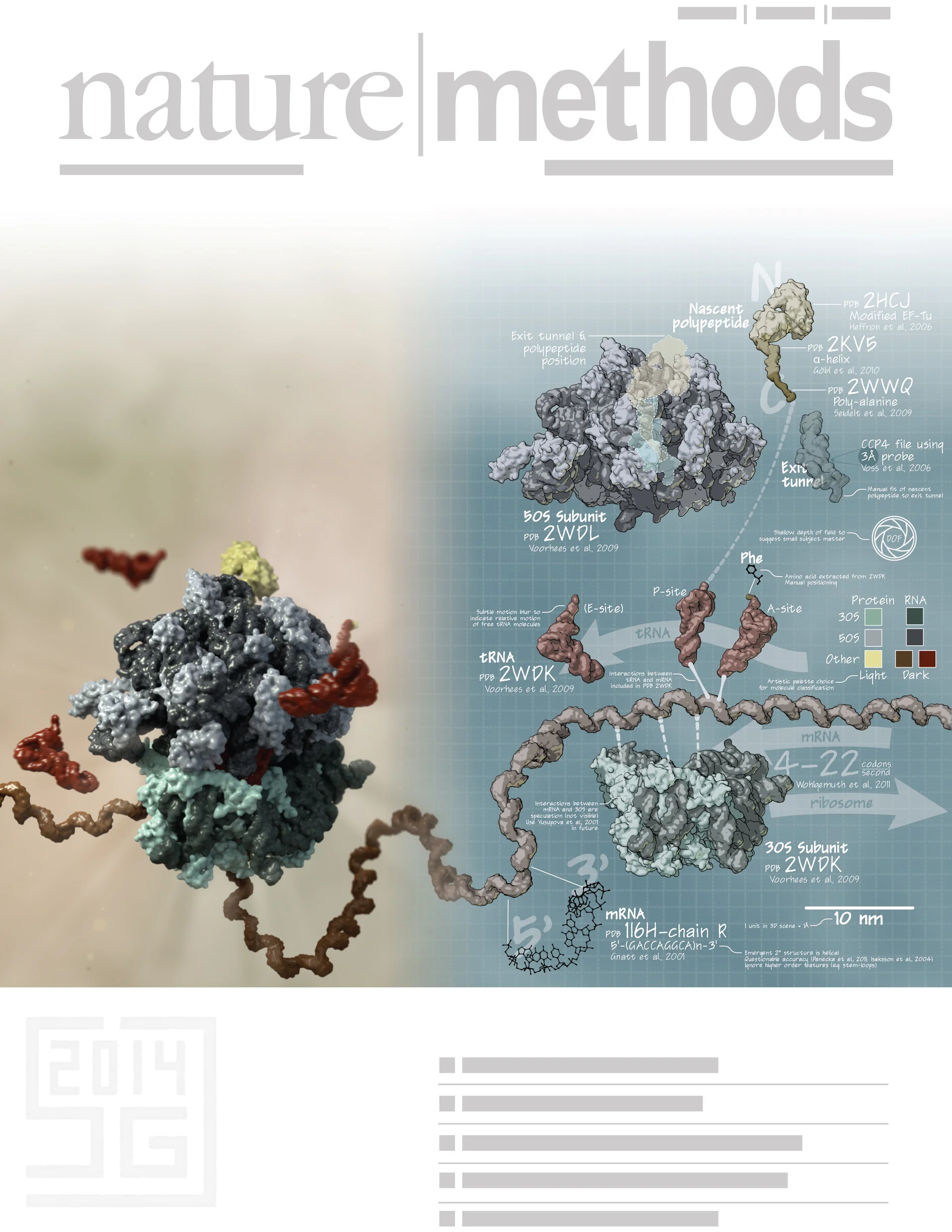 70S Ribosome: Data and Design