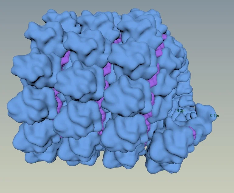 PDB 4UFT