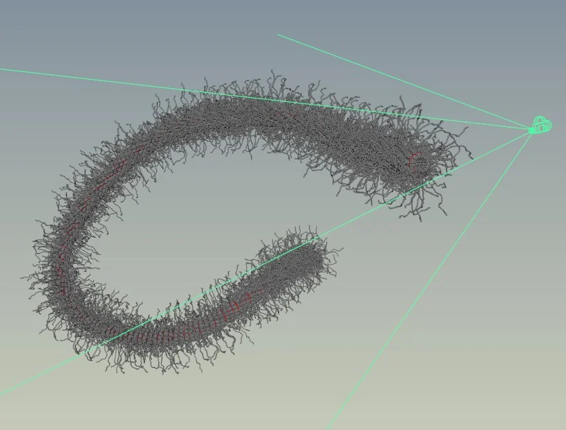 I believe this is approximately the correct full length of the measles genome, and yes it should fit inside a typical measles capsid. Successful assembly!