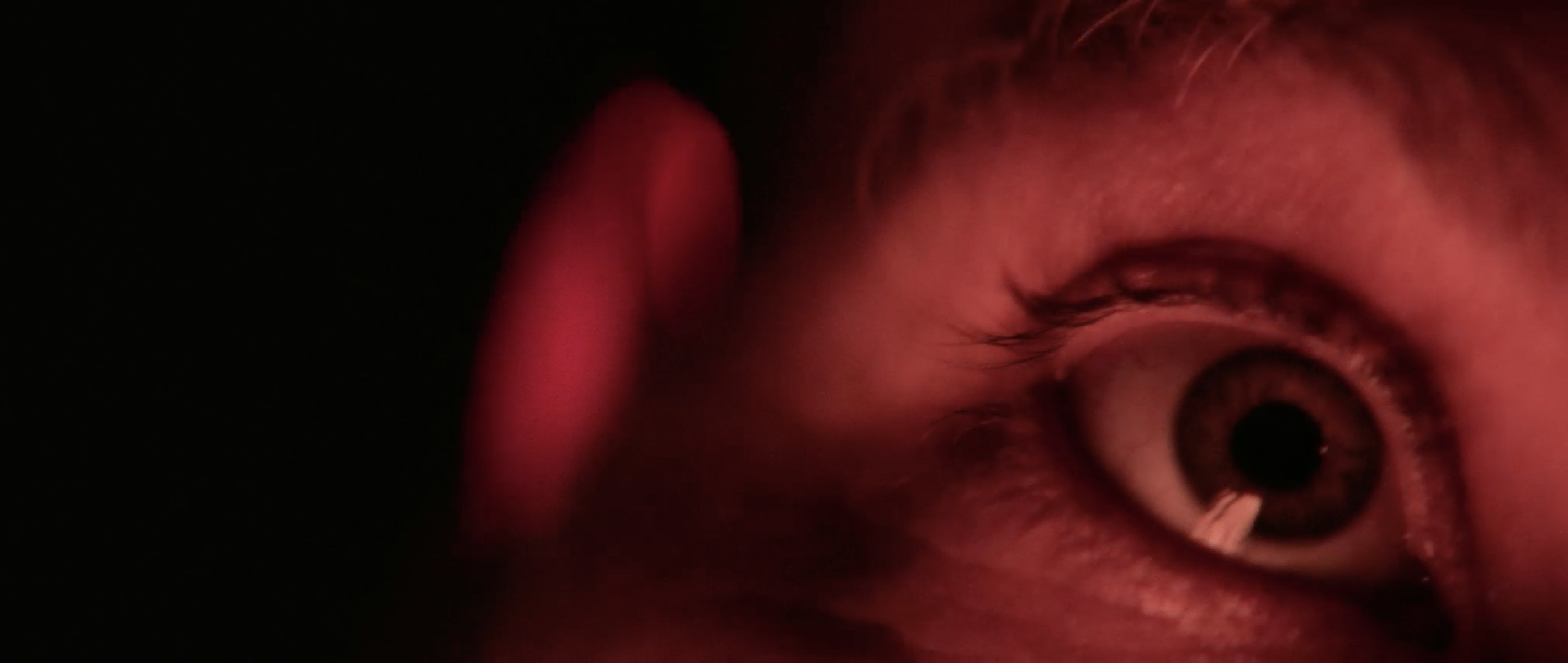 Screen Shot 2022-01-08 at 3.11.08 PM.png