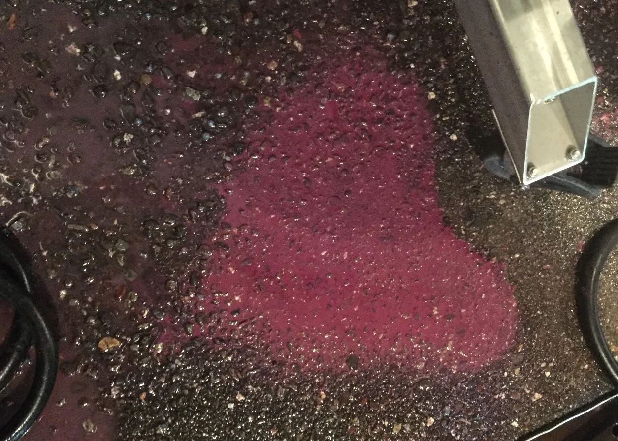 Wine and The Absent Heart.jpg