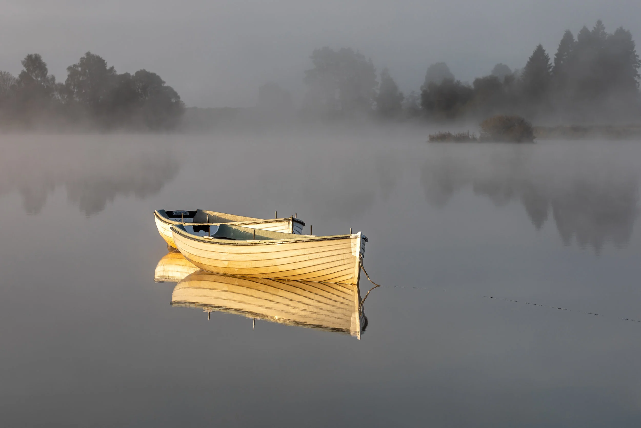 Golden Boats