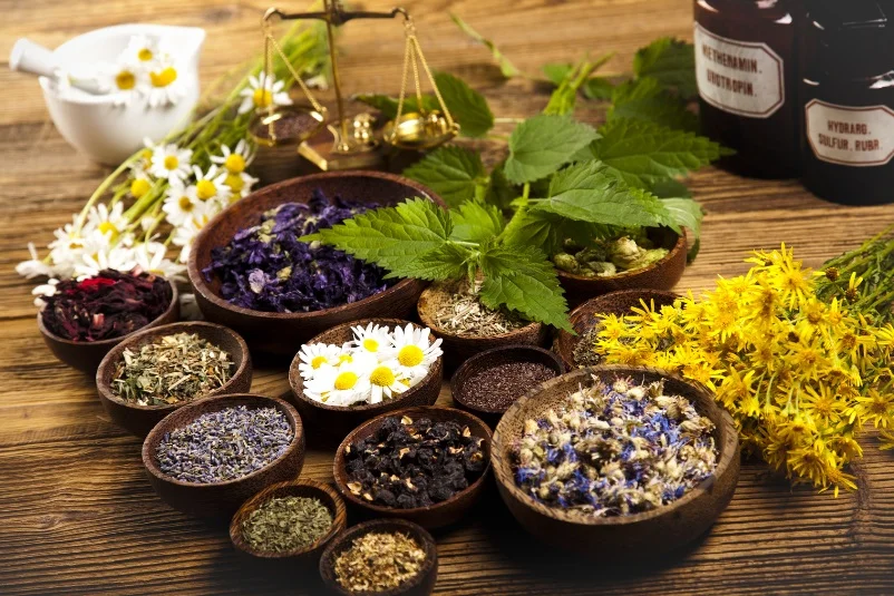 Naturopathy-by-Natural-Rhythms-Integrative-Medicine.jpg