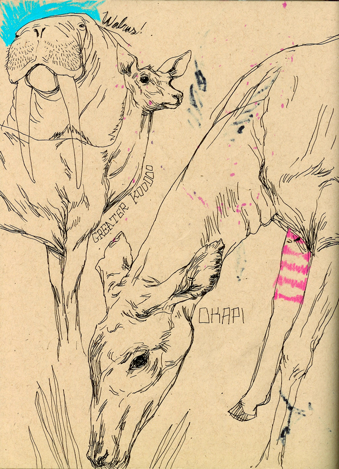 amnh2.jpg