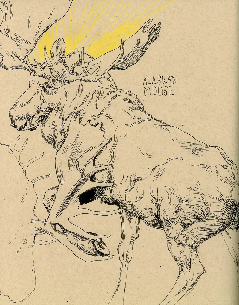 moose-lg.jpg