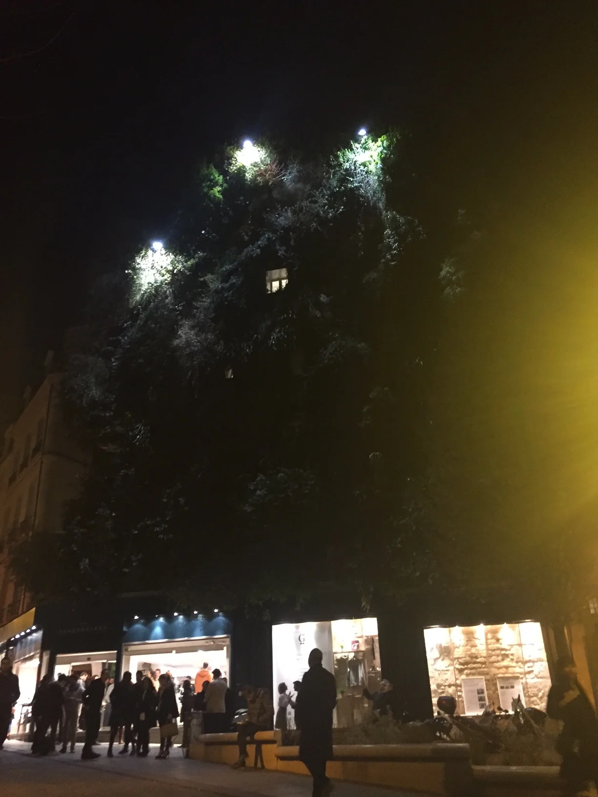 La Garconnière's facade at night | © Diana Rovanio