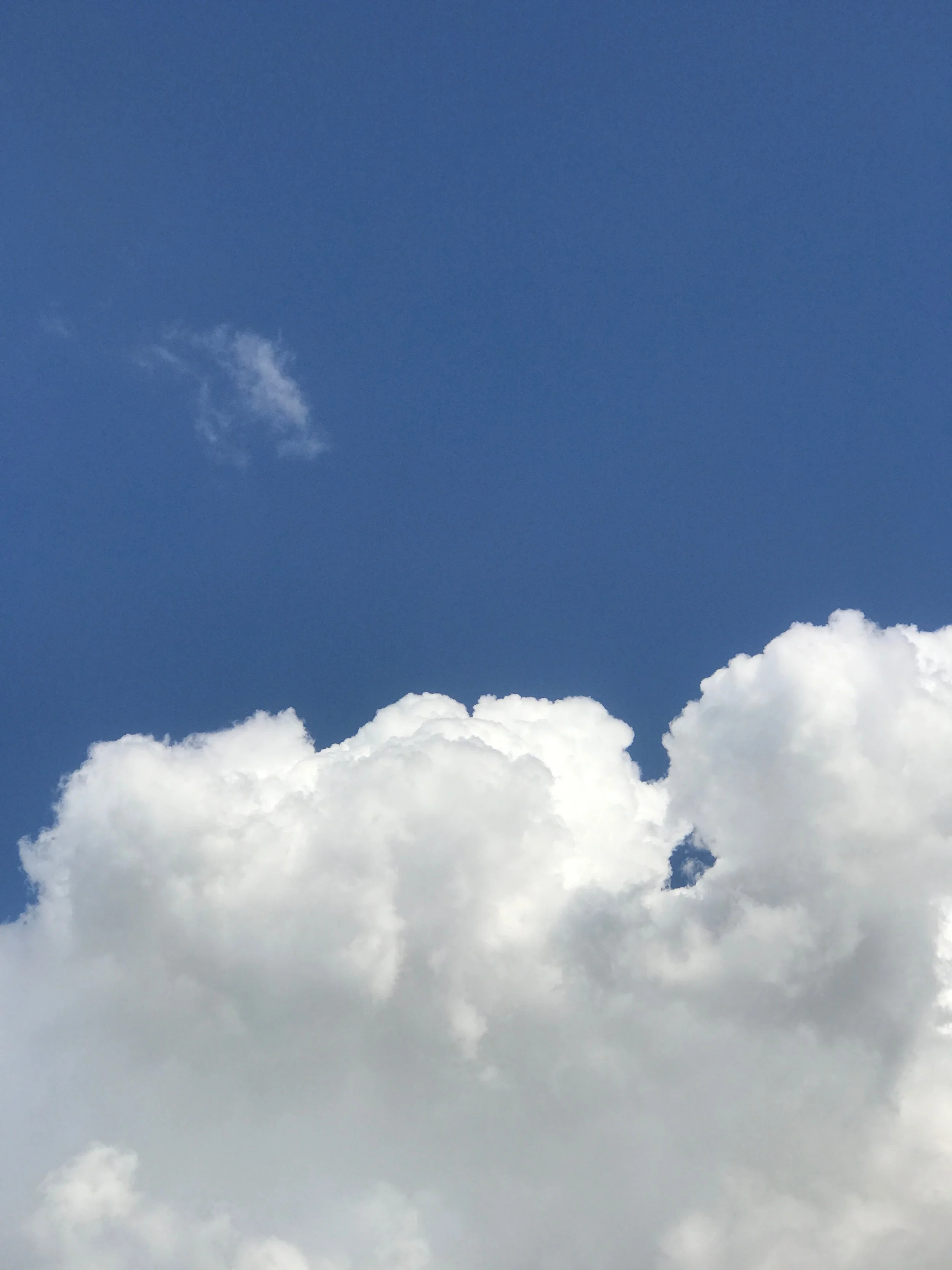 IMG_0557.jpeg