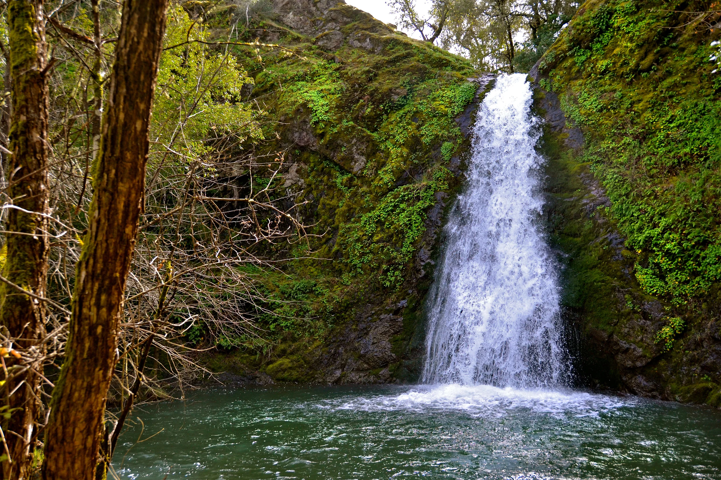 A waterfall cascading down moss-covered rocks into a green river, with trees and foliage surrounding the scene.