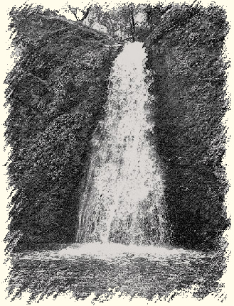 Collier Falls