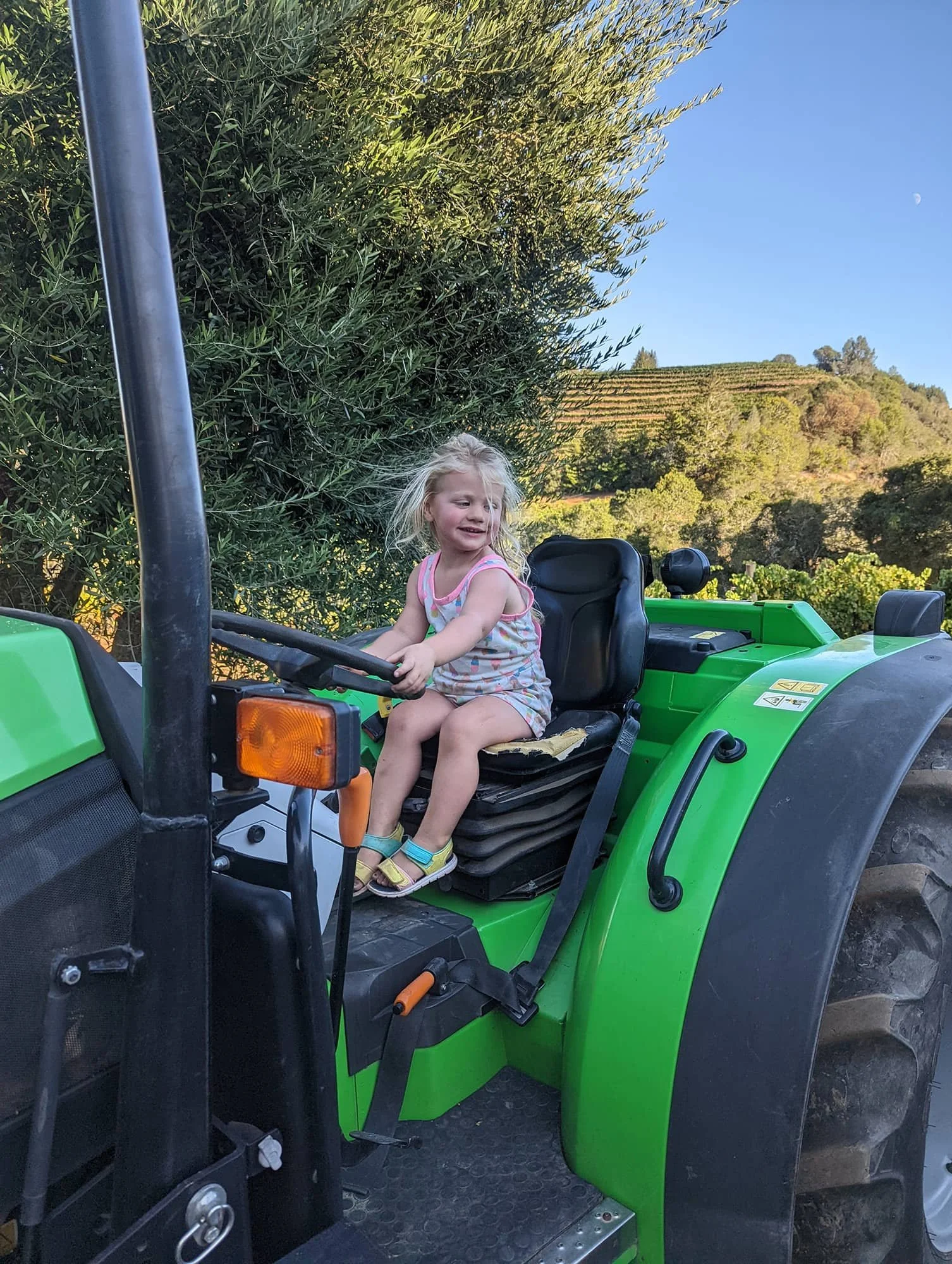Why we bought a winery we’d never seen in summer