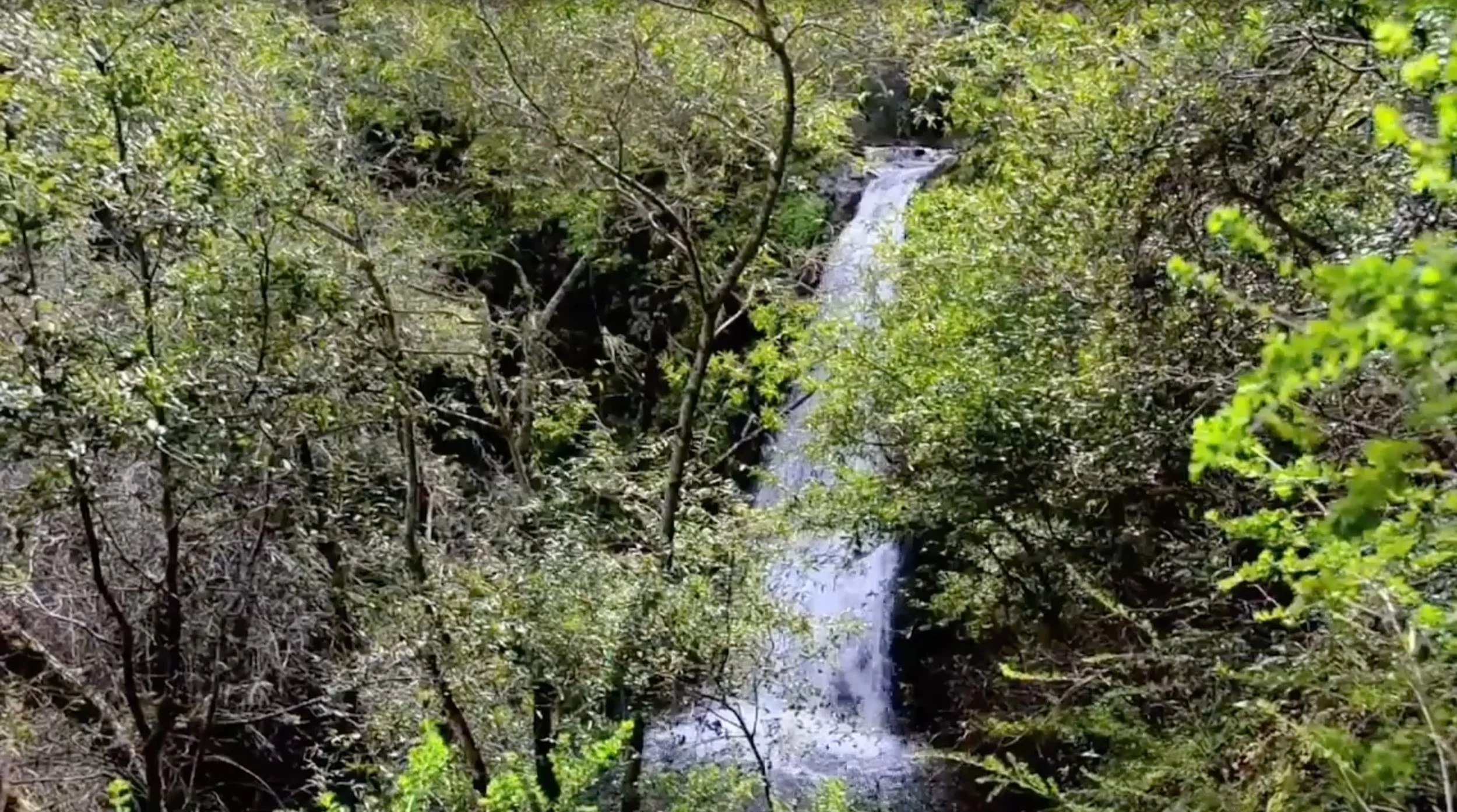 Collier-Falls--Waterfall-hero-fallback.jpg