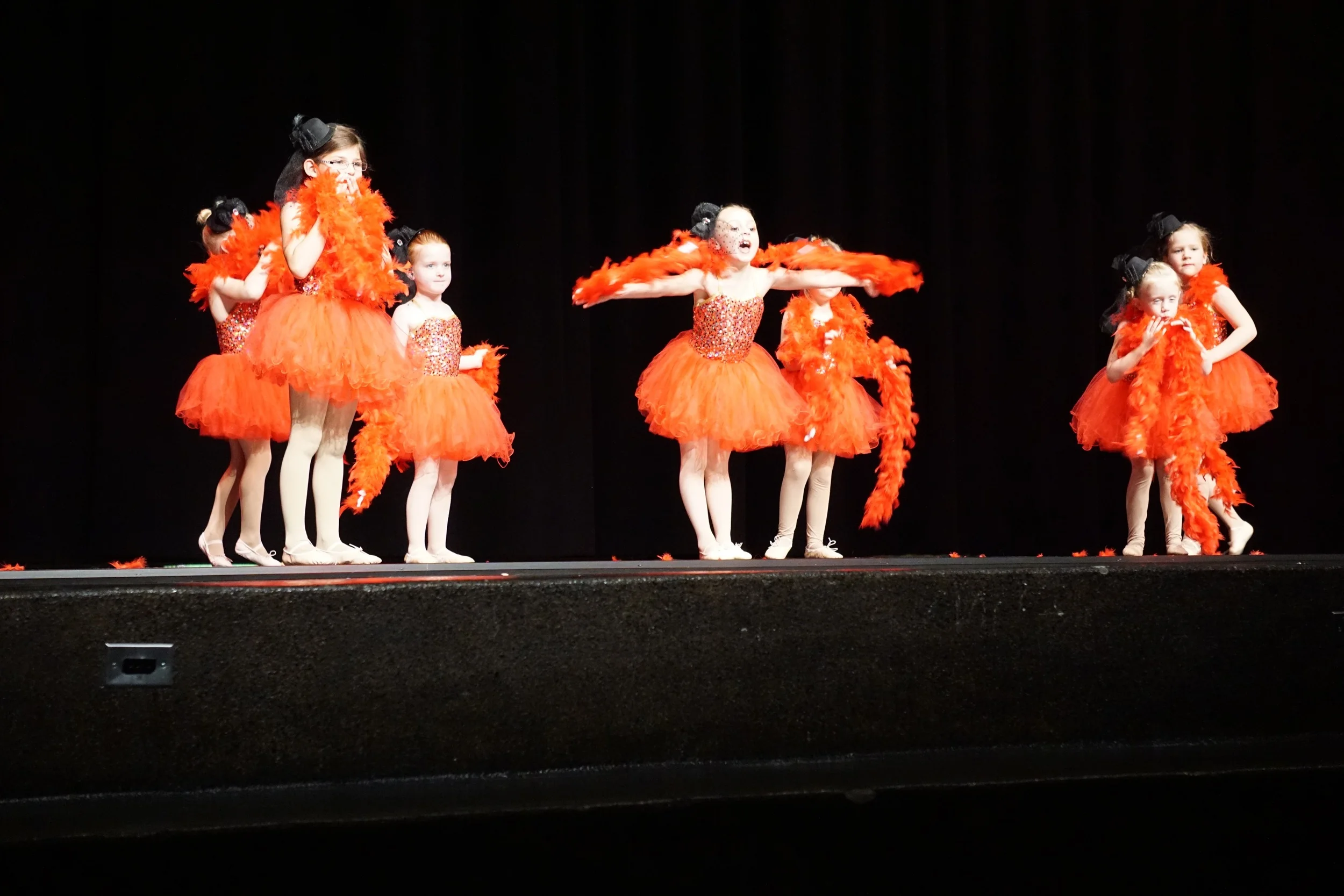DSC01356.jpg