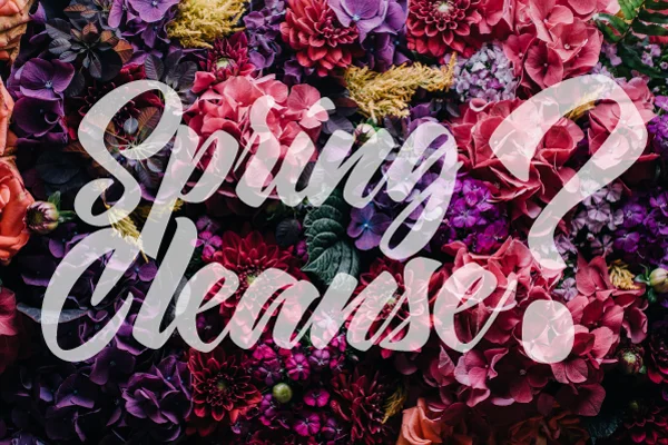 springcleanse-.jpg