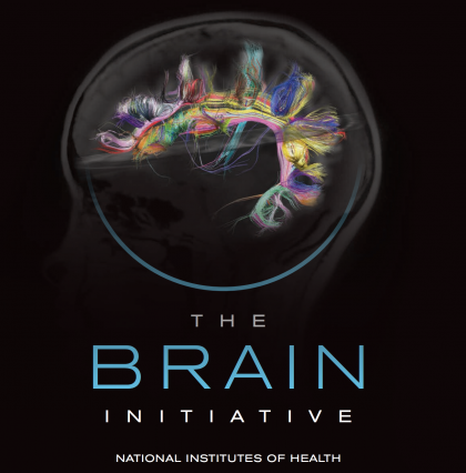 Fifteen MIT scientists receive NIH BRAIN Initiative grants 