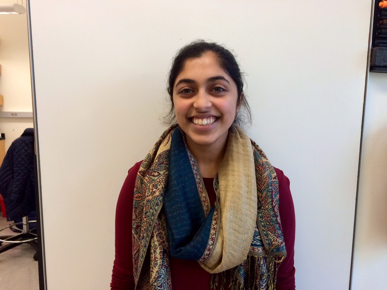 Shalni Kumar Undergraduate Research Opportunities Program (UROP) MIT '19