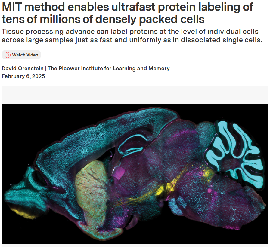 Chung Lab Featured in MIT News: Breakthrough Technologies for Protein Labeling of Intact Tissues