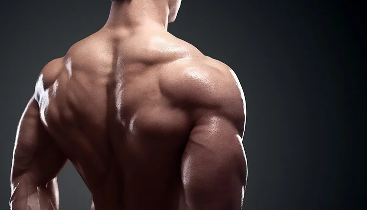 Man's smooth, muscular back after a back wax, calm skin with easy aftercare