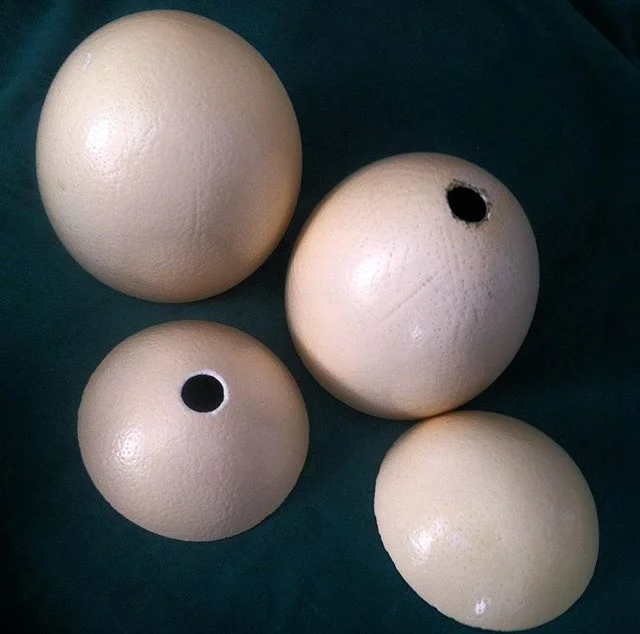 image7.jpeg