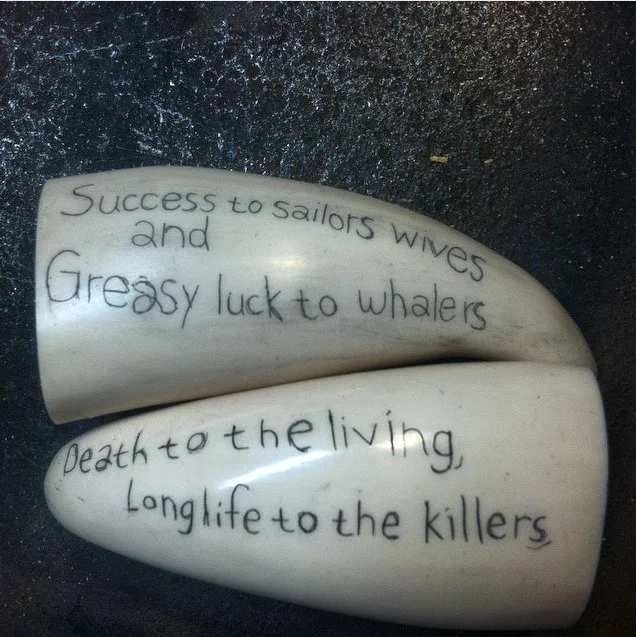 image14.jpeg