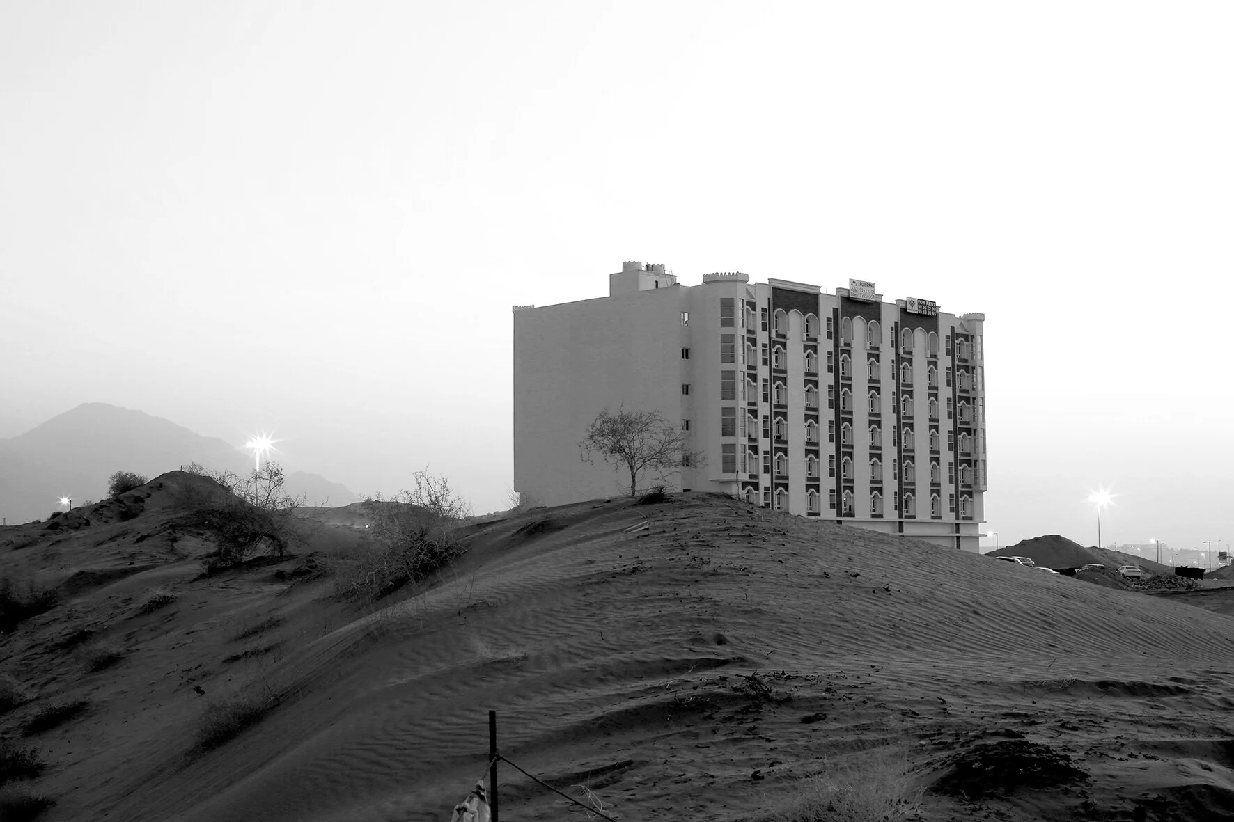 OsamaDawod_20182611.jpg