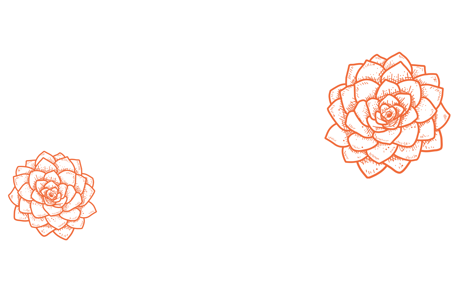 Succulent Quote Background4.png